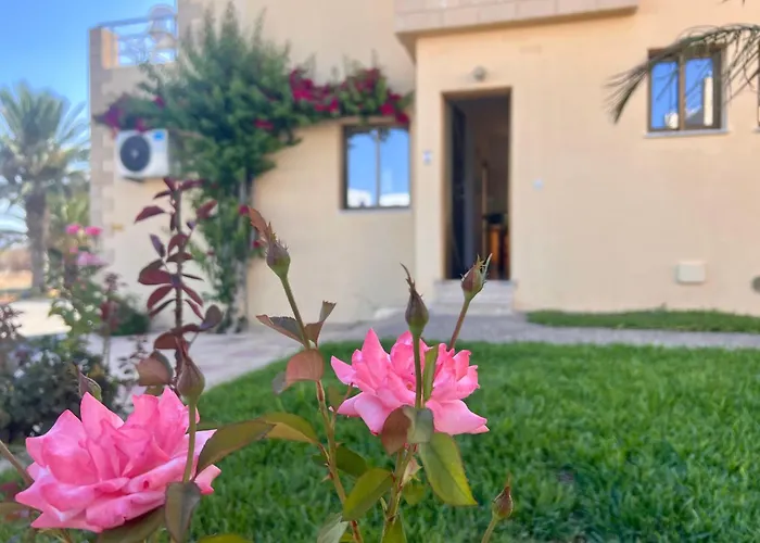 Dimma Seaside * パ フォス