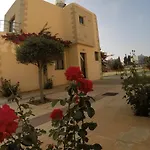 Dimma Seaside Apartmán