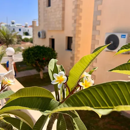 Dimma Seaside Apartmán