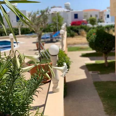 Dimma Seaside * פאפוס